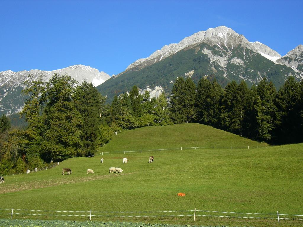 Apartments Karlhof อินส์บรุค ภายนอก รูปภาพ