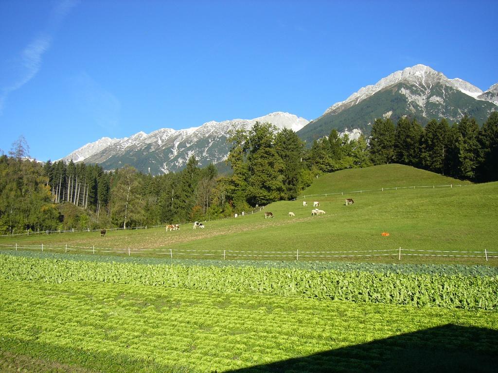 Apartments Karlhof อินส์บรุค ภายนอก รูปภาพ